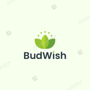 BudWish Logo Domainify
